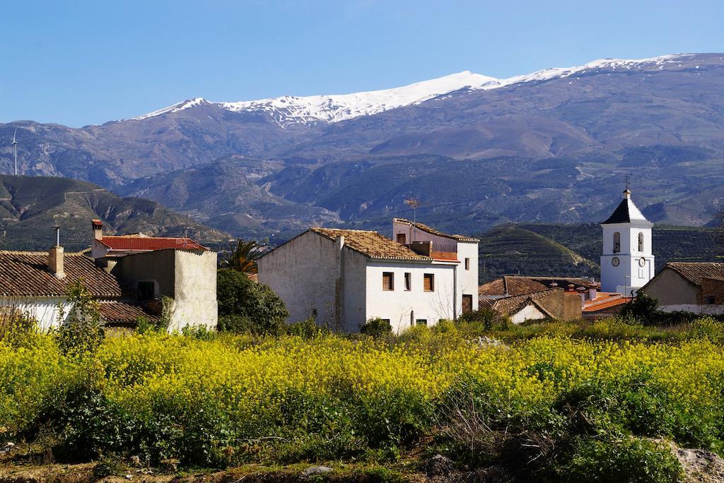 Hostal Y Apartamento Rural Los Naranjos Melegis Buitenkant foto